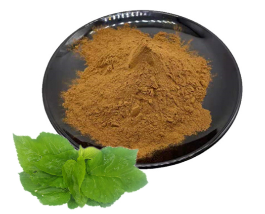 organic mulberry leaf extract.png